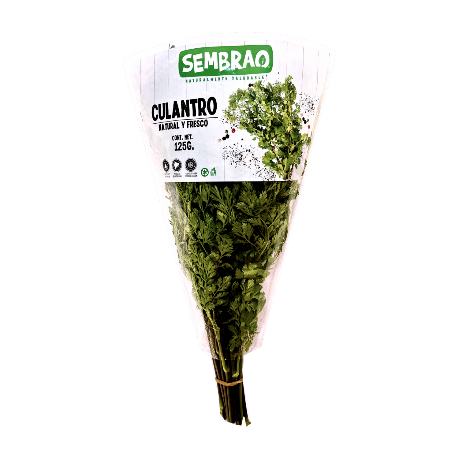 Culantro Natural Y Fresco SEMBRAO 125 G