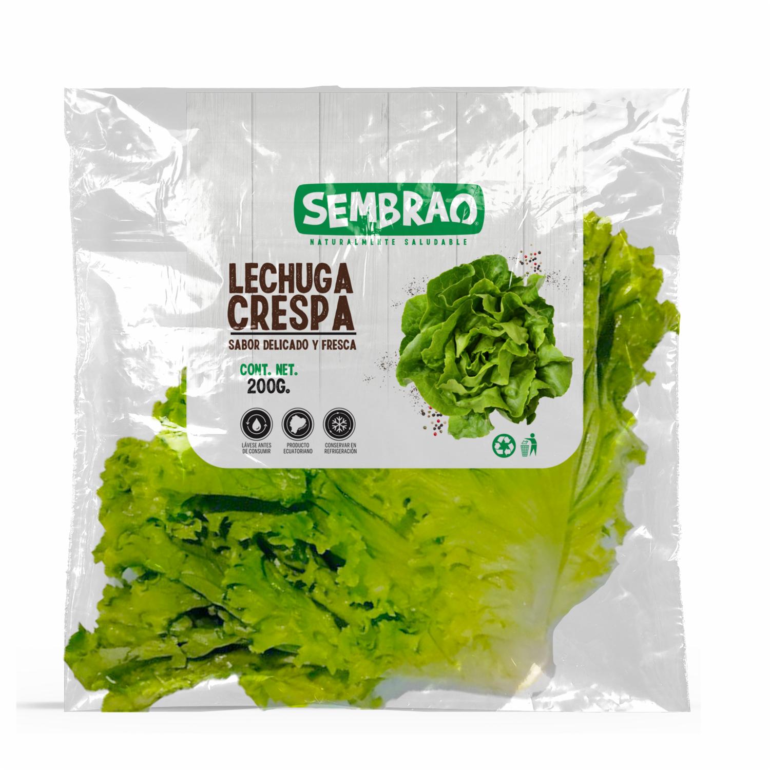 Lechuga Crespa SEMBRAO 200 G