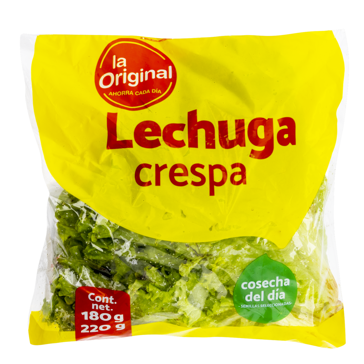 Lechuga Crespa LA ORIGINAL 180 A 220 G
