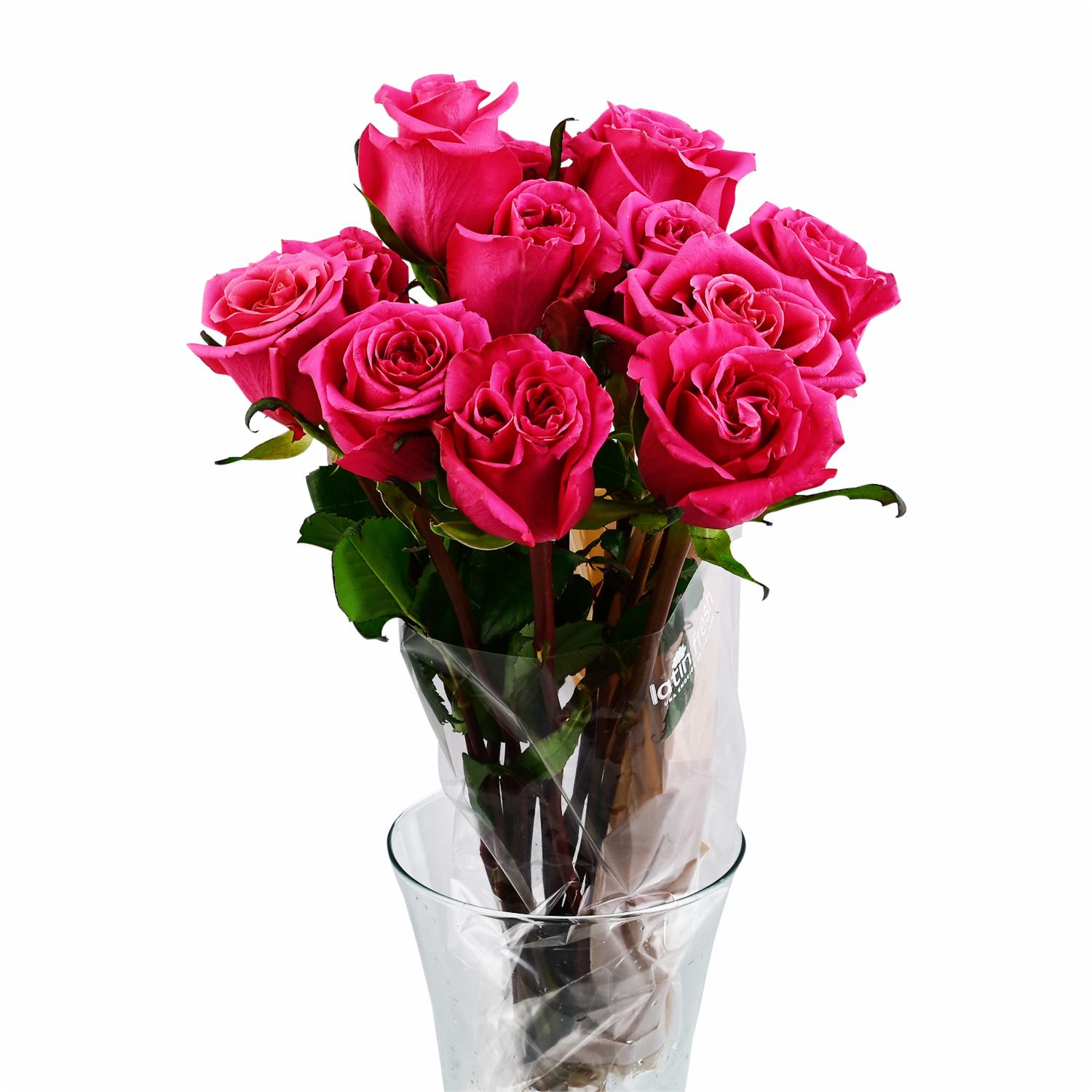 Rosa Surtido LATIN FRESH x 12 Tallos