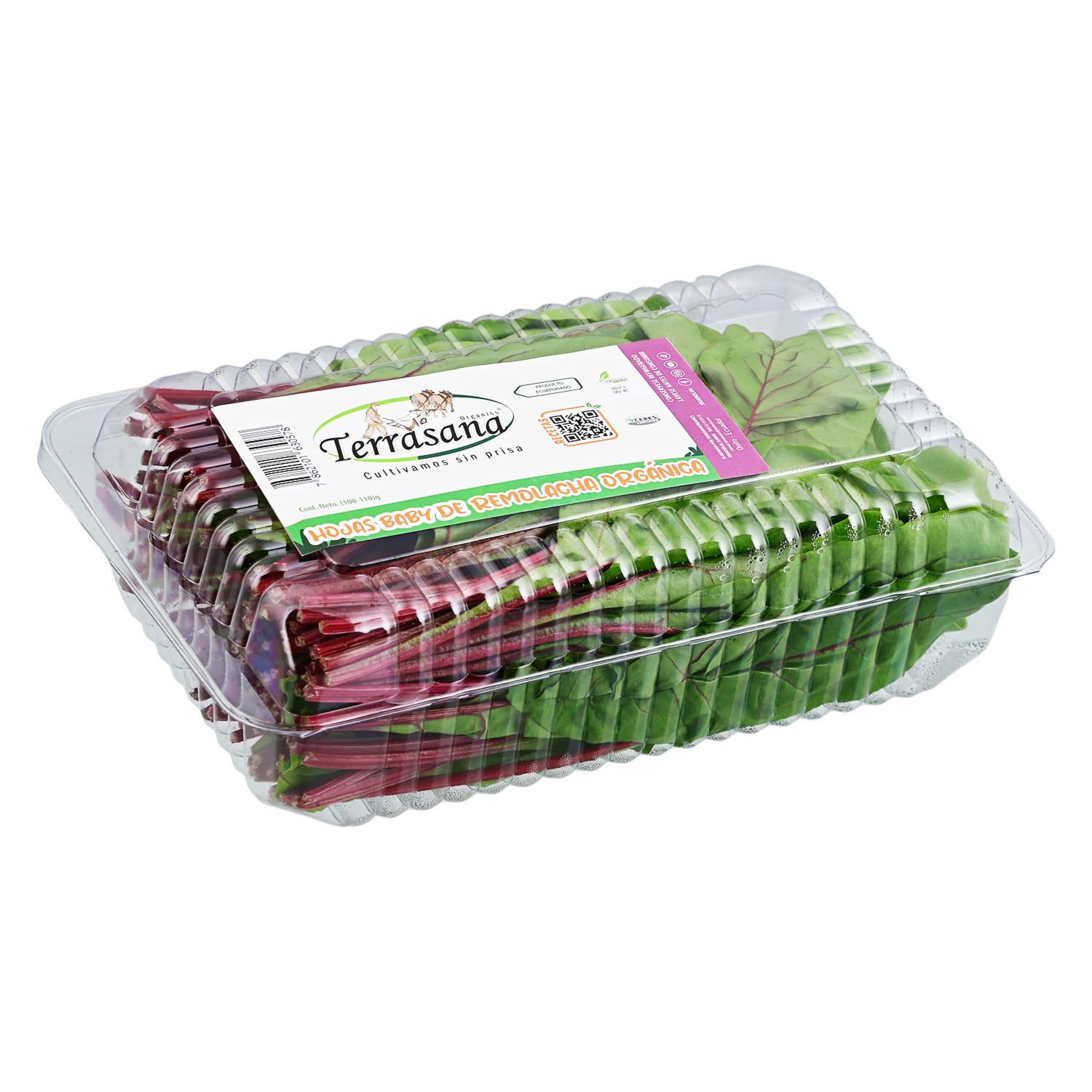 Hojas De Remolacha Orgánica TERRASANA 100 G