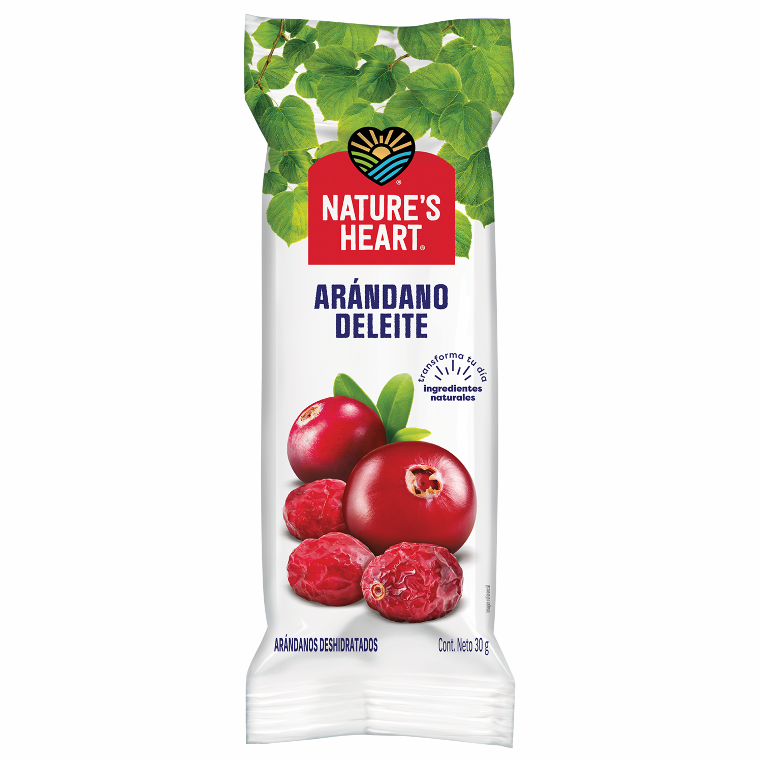 Arándanos Fruta Seca NATURE’S HEART 30 g