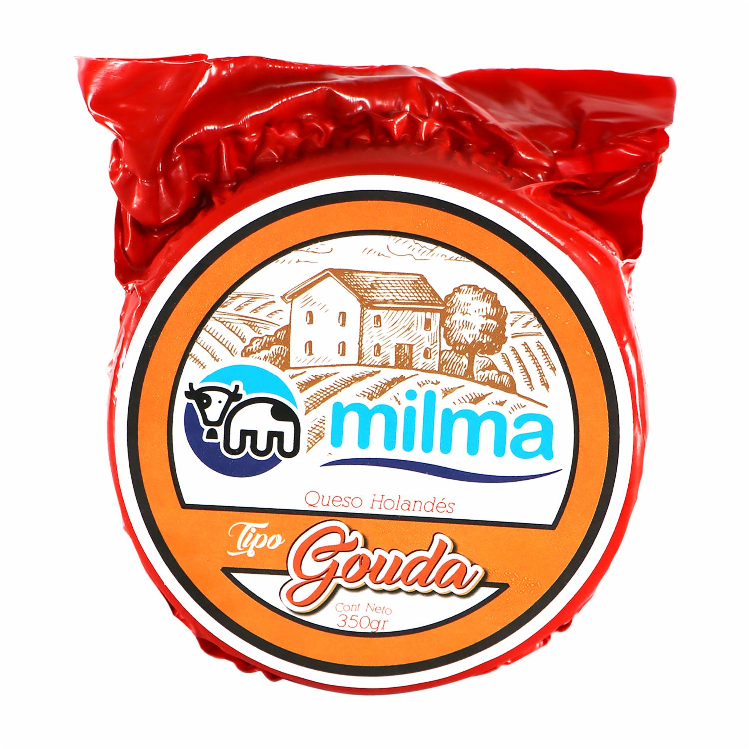 Queso Gouda MILMA 350 G