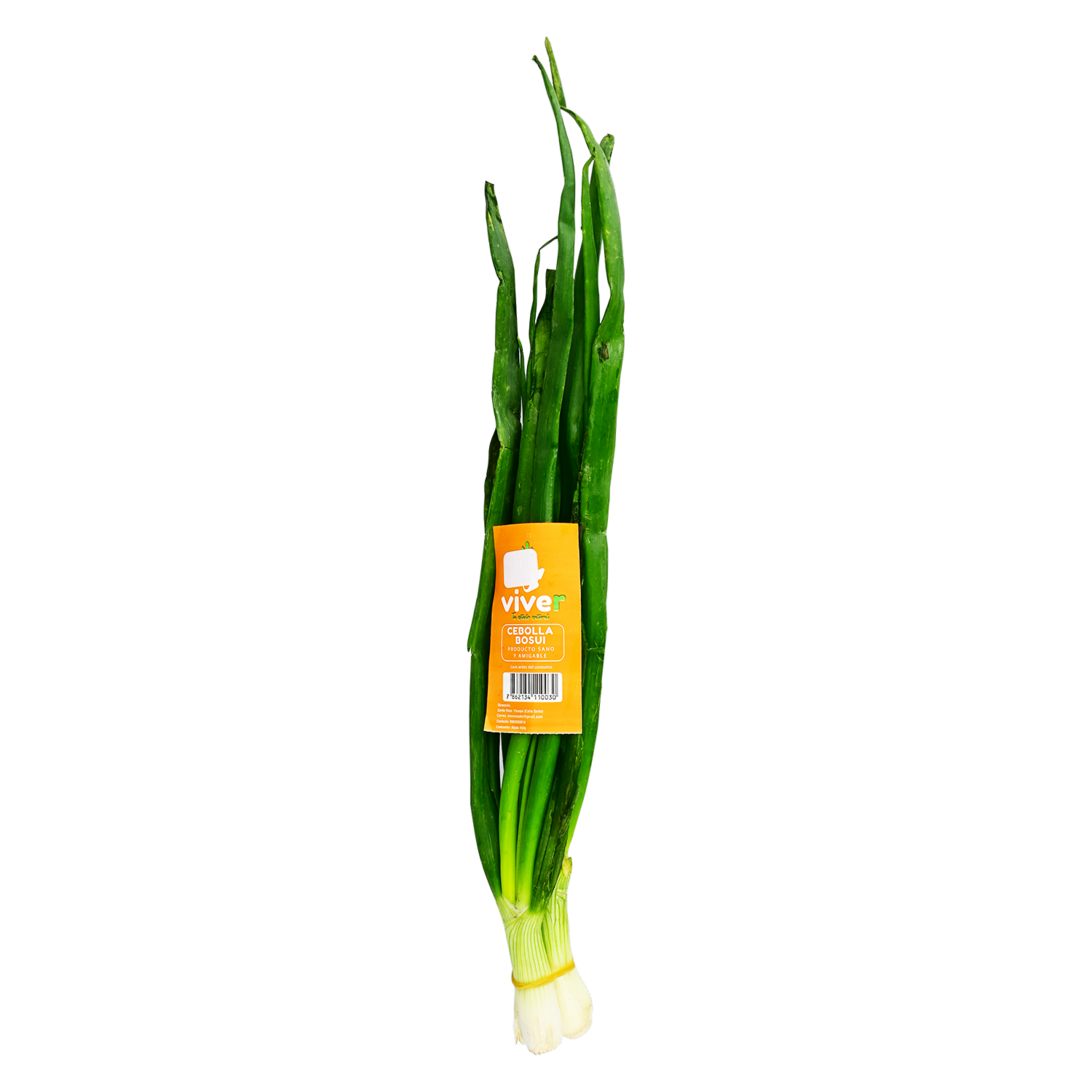 Cebolla Bosui VIVER 150g