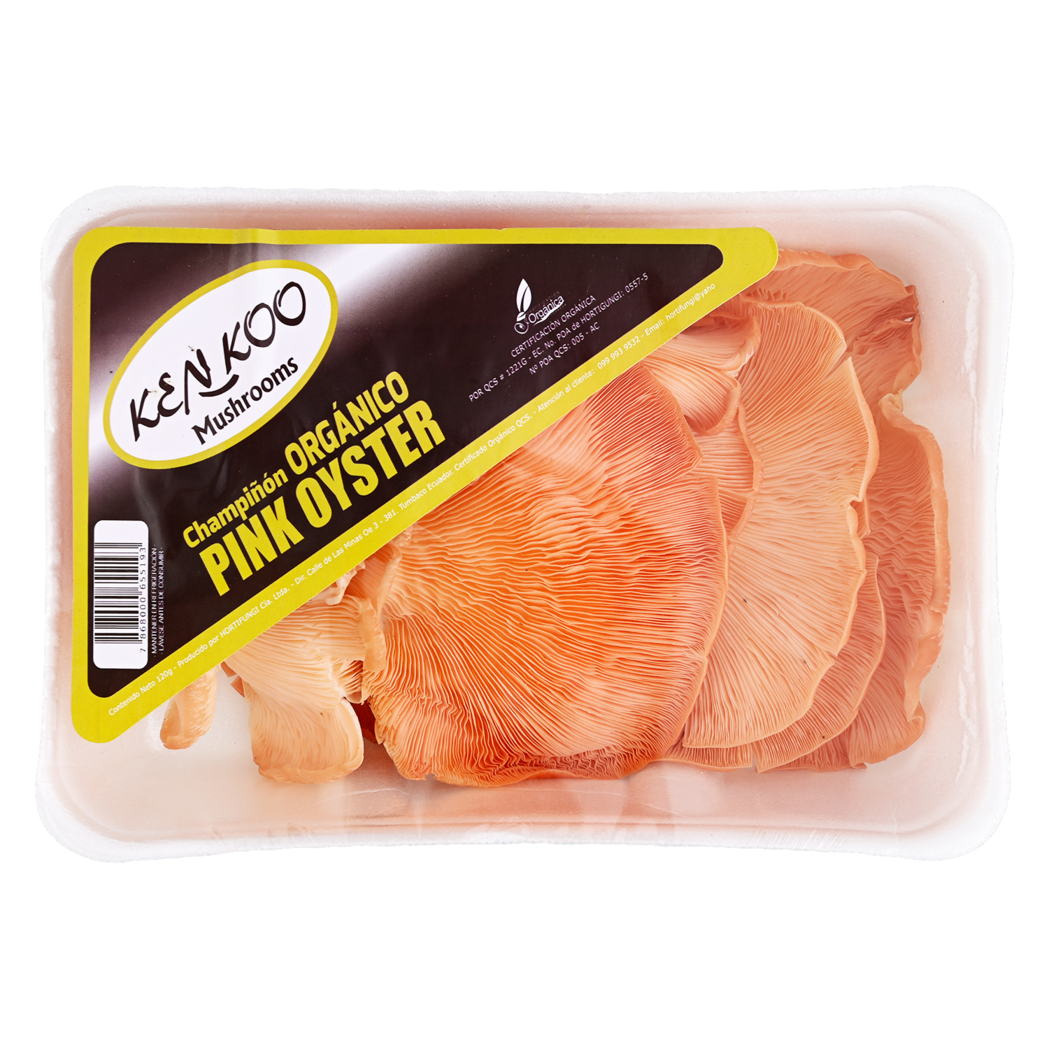 Champiñón Pink Oyster KENKOO 120 G