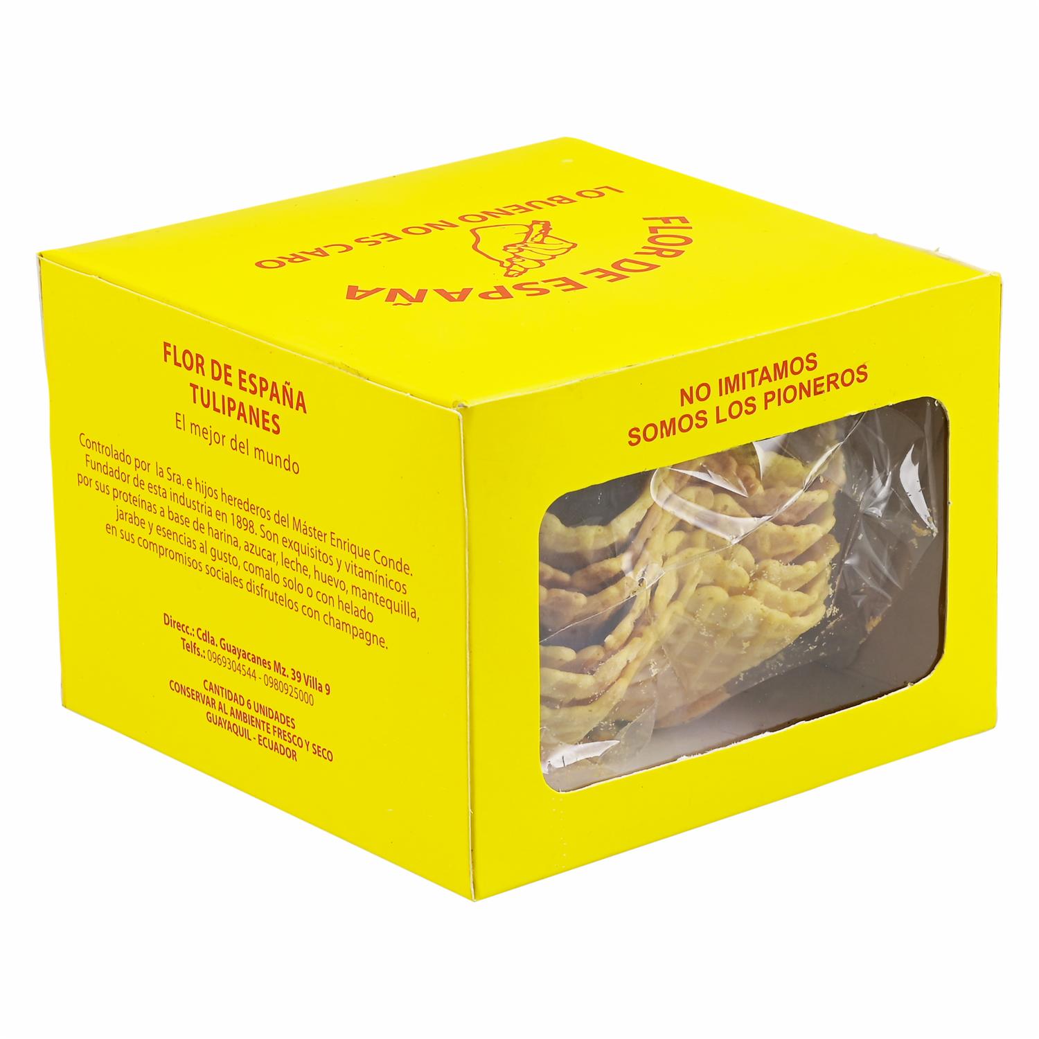 Tulipanes Medianos FLOR DE ESPAÑA 300  G