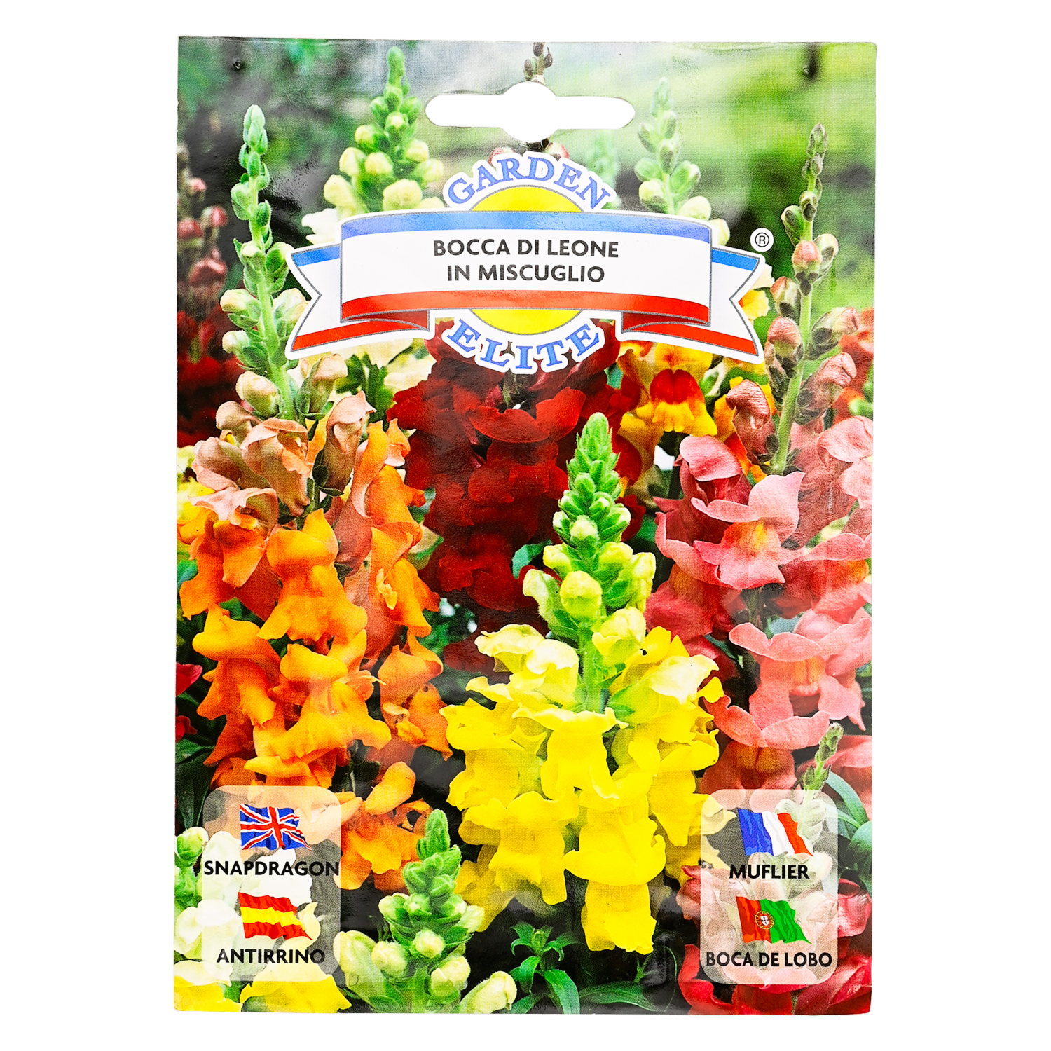 Semillas De Flores De Antirrino GALASSI SEMENTI 0,7 g
