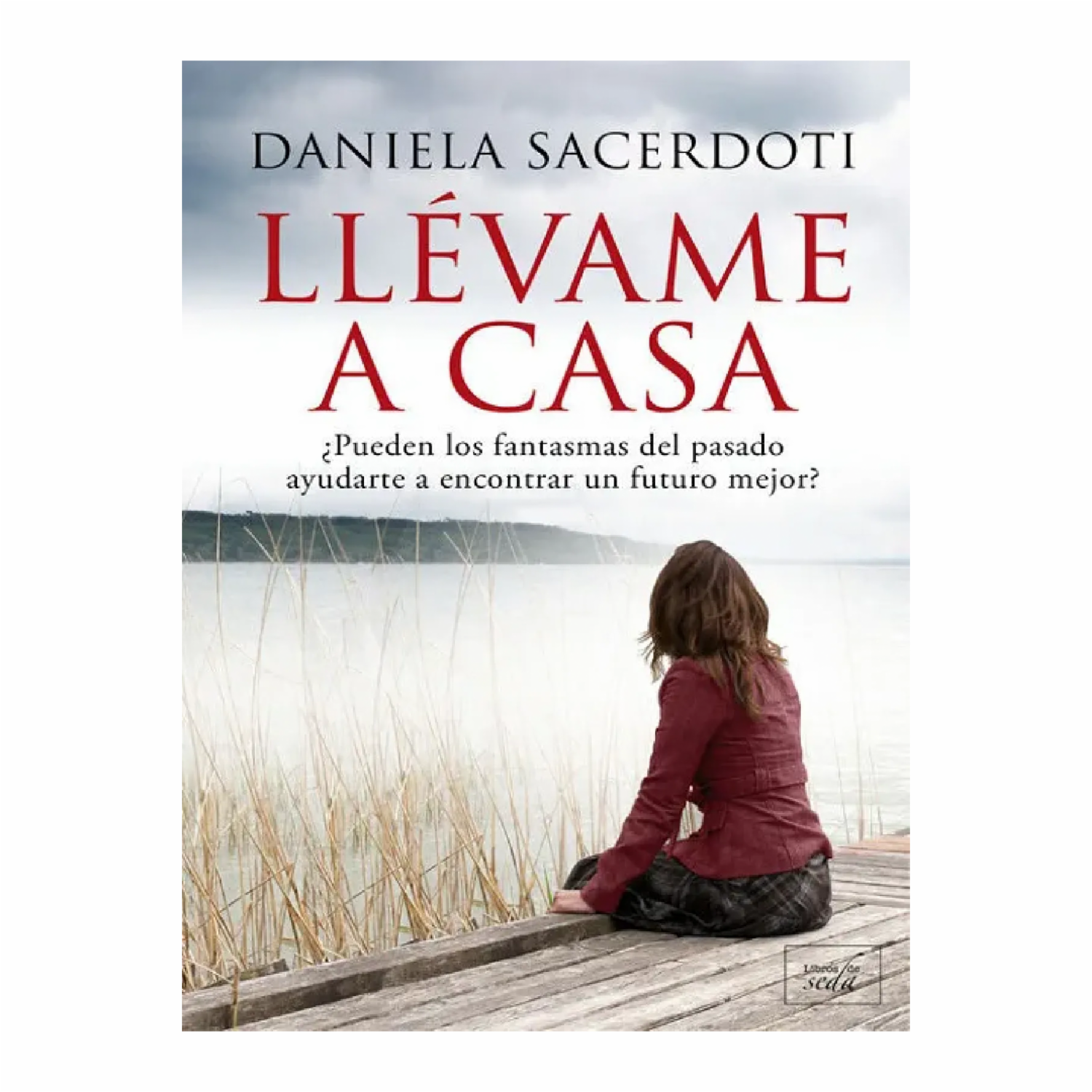 Llévame A Casa Daniela Sacerdoti LIBROS DE SEDA 288 Páginas