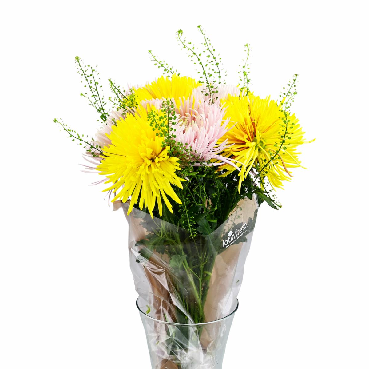Bouquet Económico LATIN FRESH x 12 Tallos
