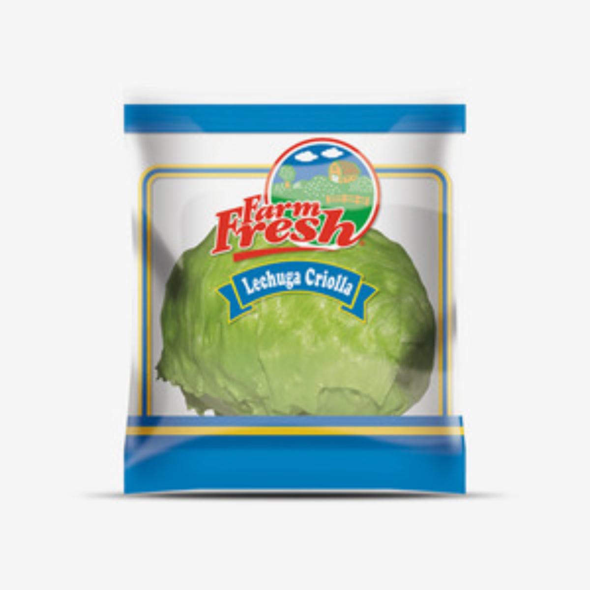 Lechuga Criolla FARM FRESH 500 G
