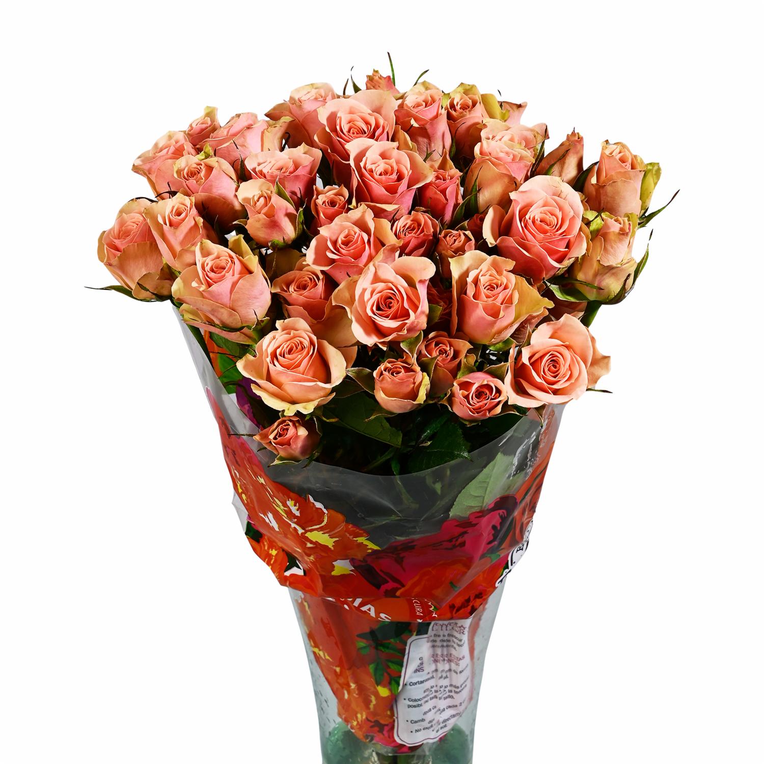 Rosa Spray Nacional Surtida EQR 50 Cm