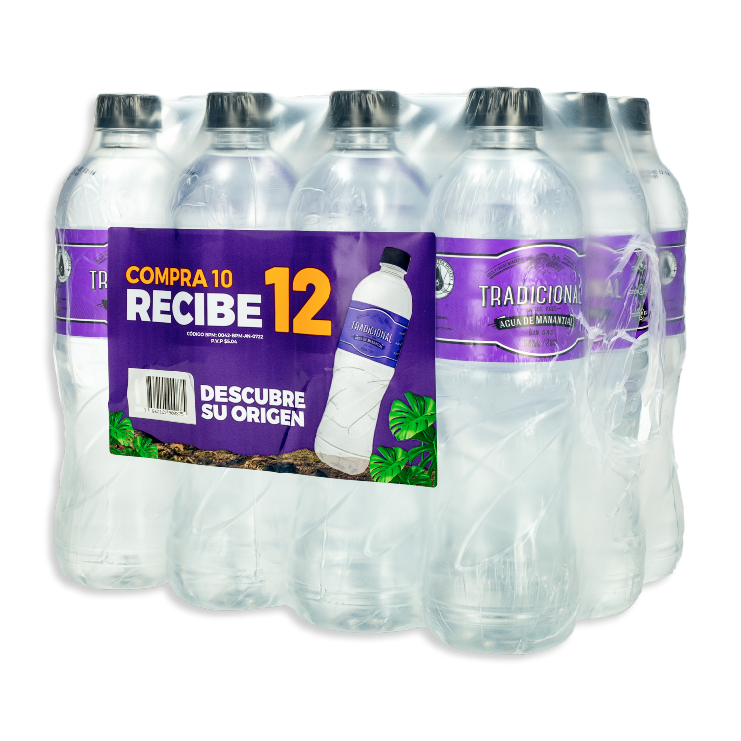 Agua Sin Gas TRADICIONAL 12X600 Ml