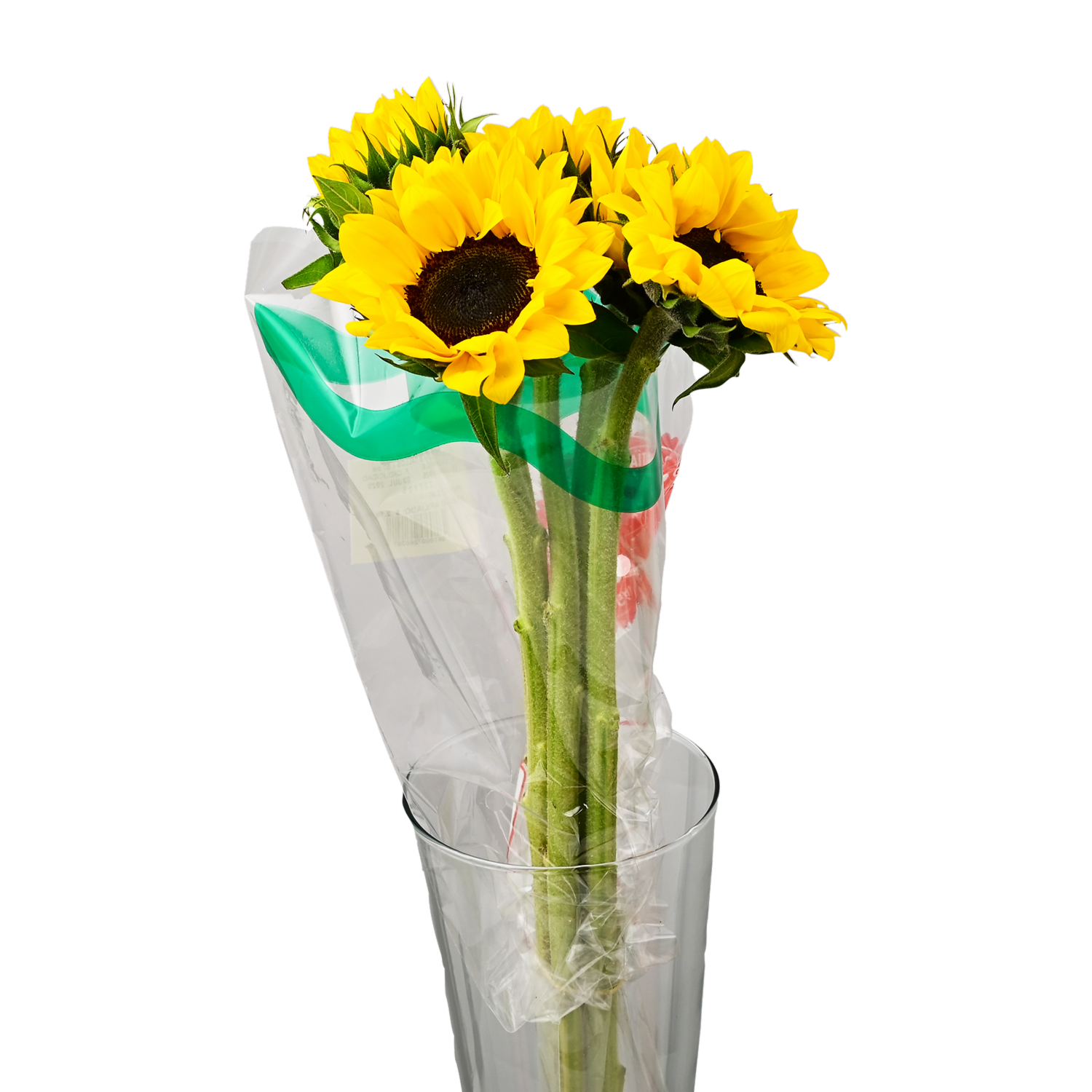 Girasol Natural GUALAVISI X 5 Tallos