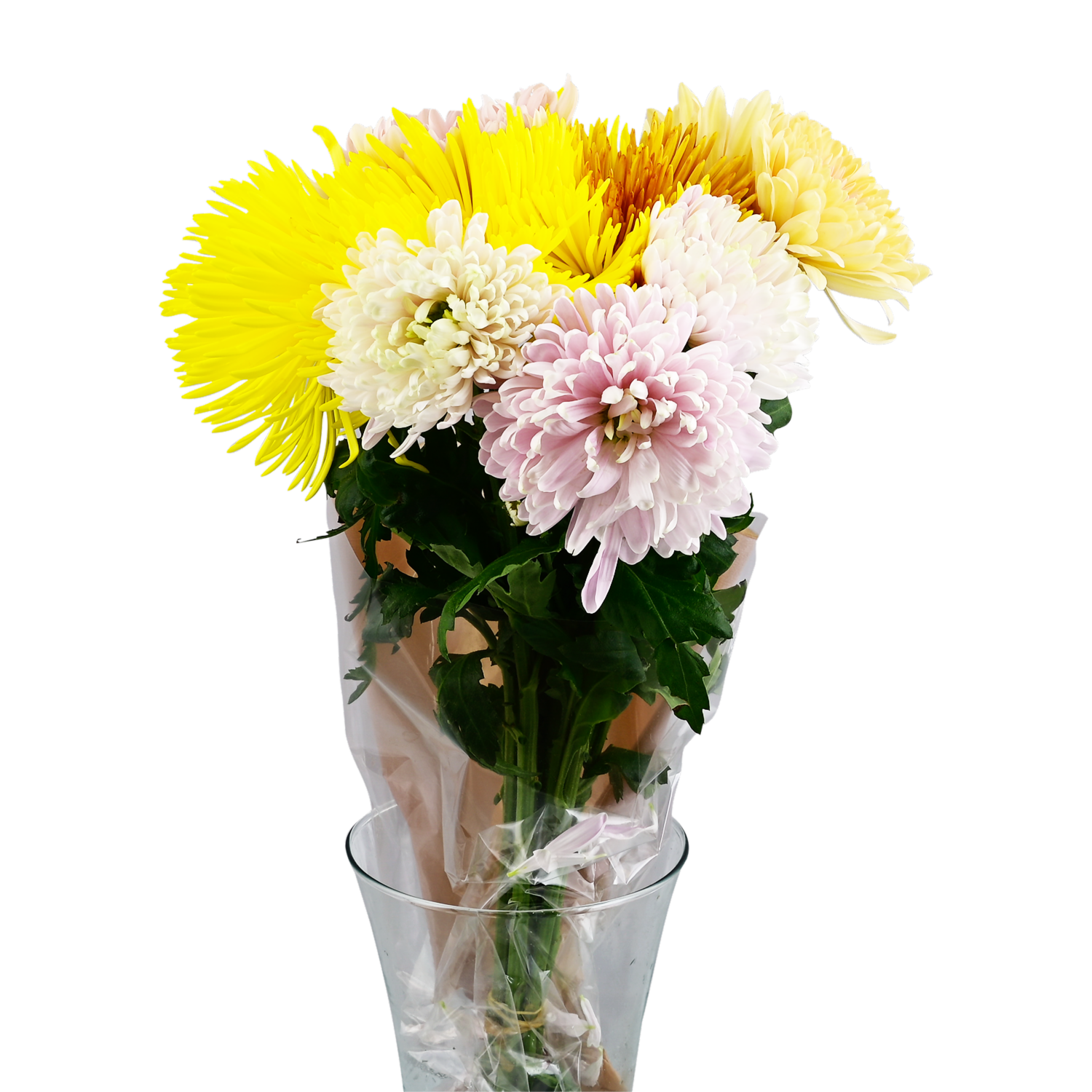Crisantemos Rainbow LATIN FRESH X 9 Tallos