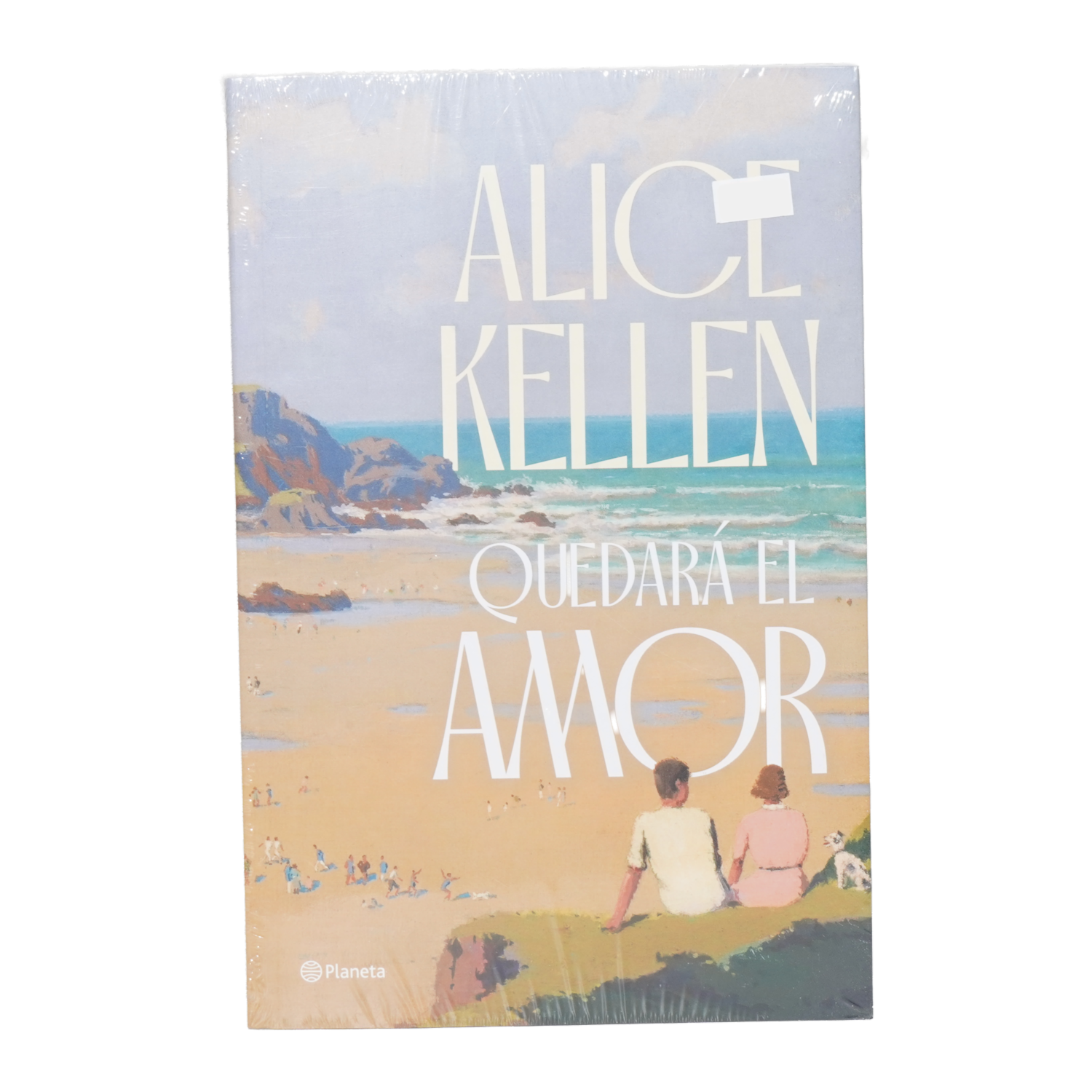 Libro Quedará El Amor PLANETA 398 Páginas