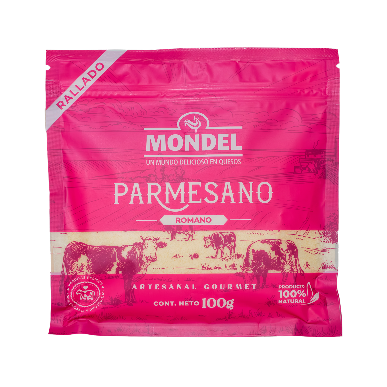 Queso Parmesano-Romano Rallado MONDEL 100 G