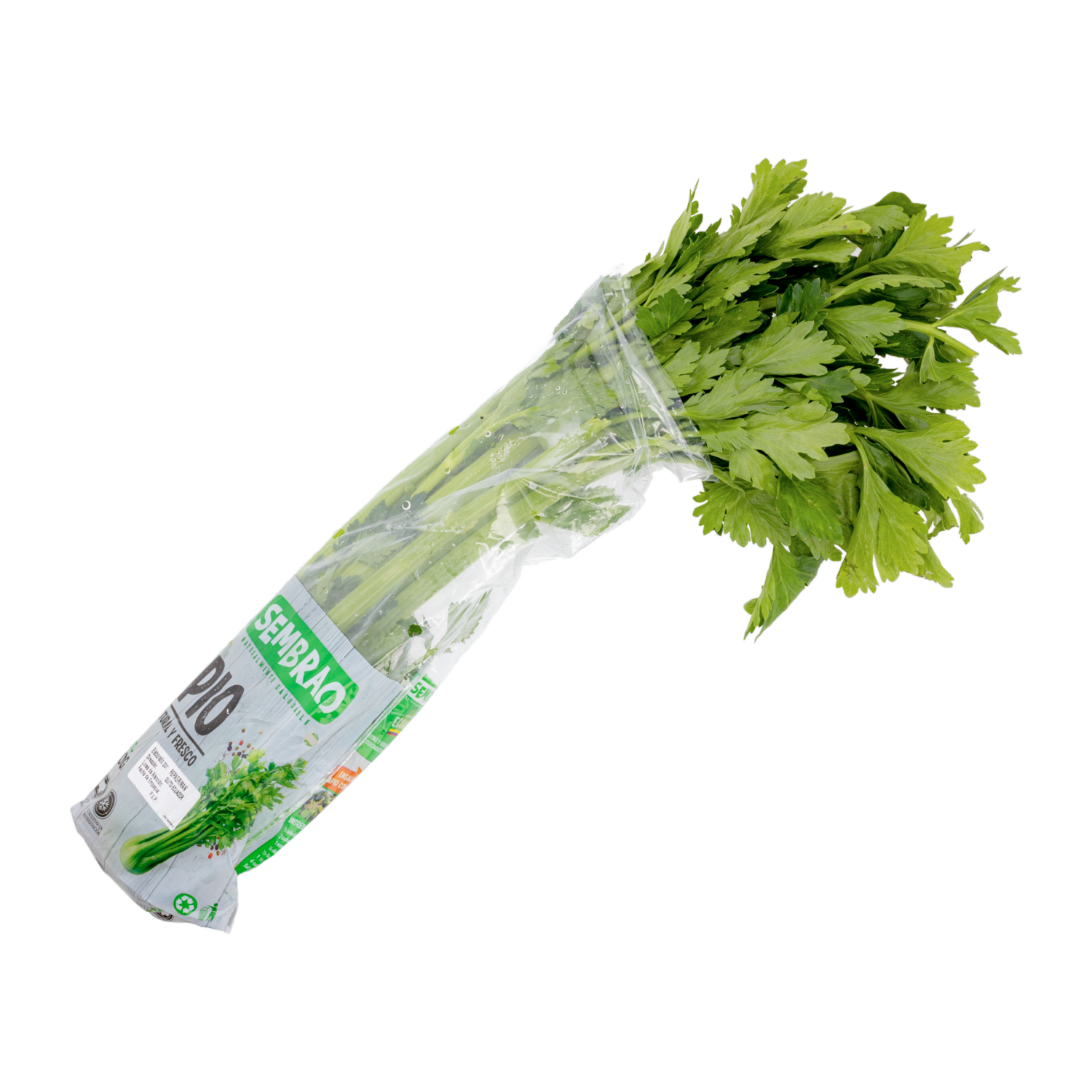 Apio Fresco SEMBRAO 750 G