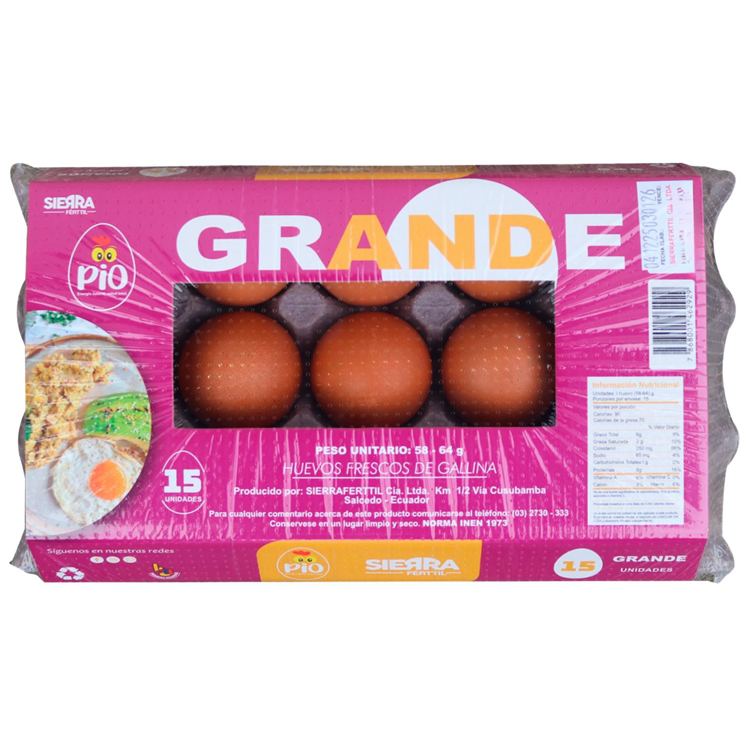 Huevos Grande PIO X 15 Uds