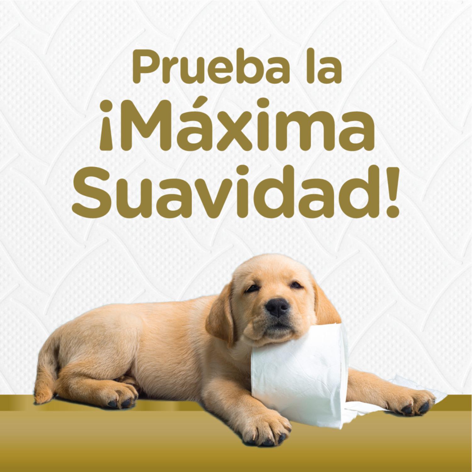 Papel Higiénico Premium Comfort Triple Hoja SCOTT 4 Rollos