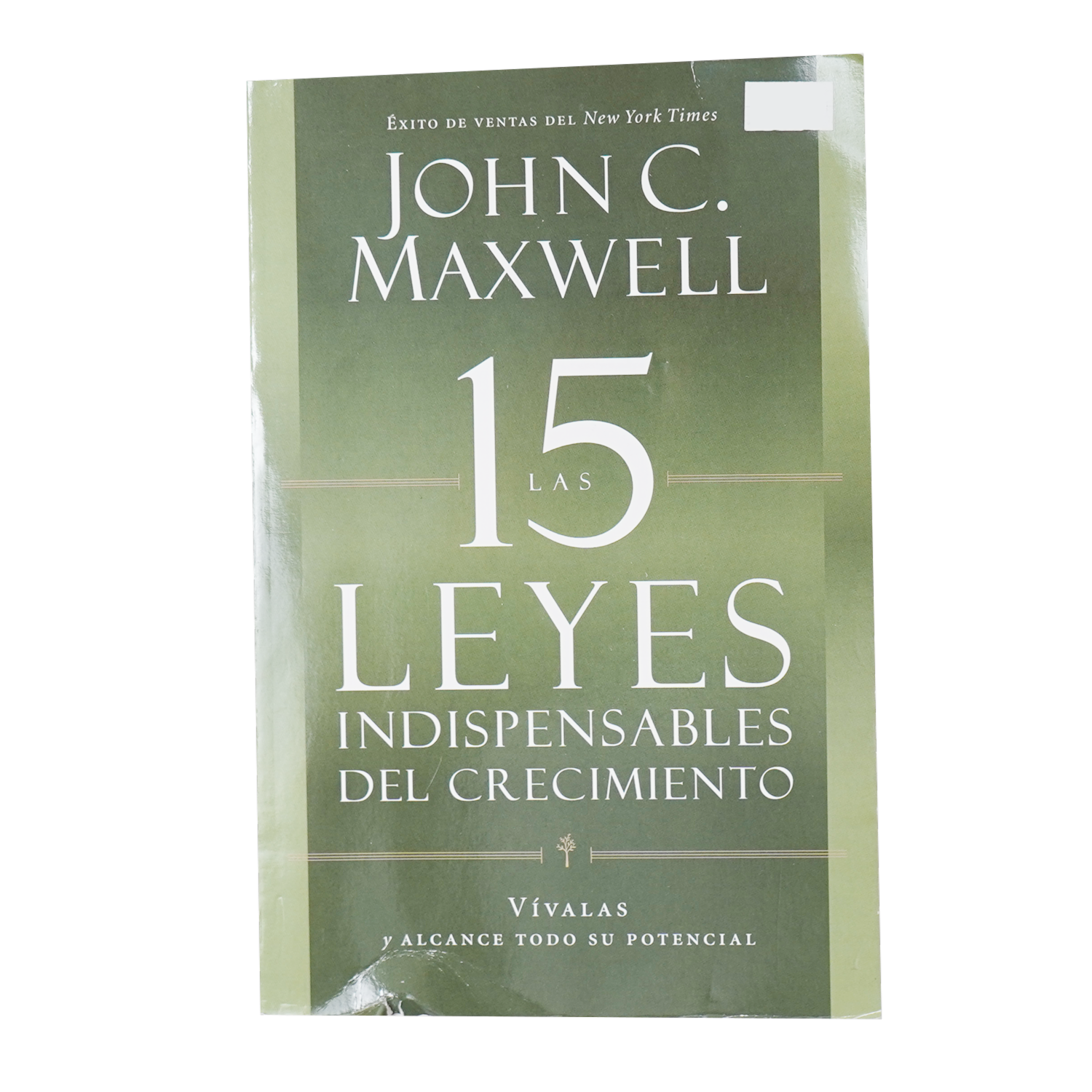 Libro Las 15 Leyes Indispensables CENTER STREET 269 Páginas