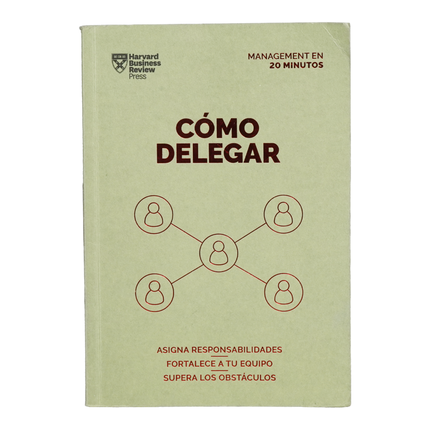 Libro Como Delegar REM 112 Páginas