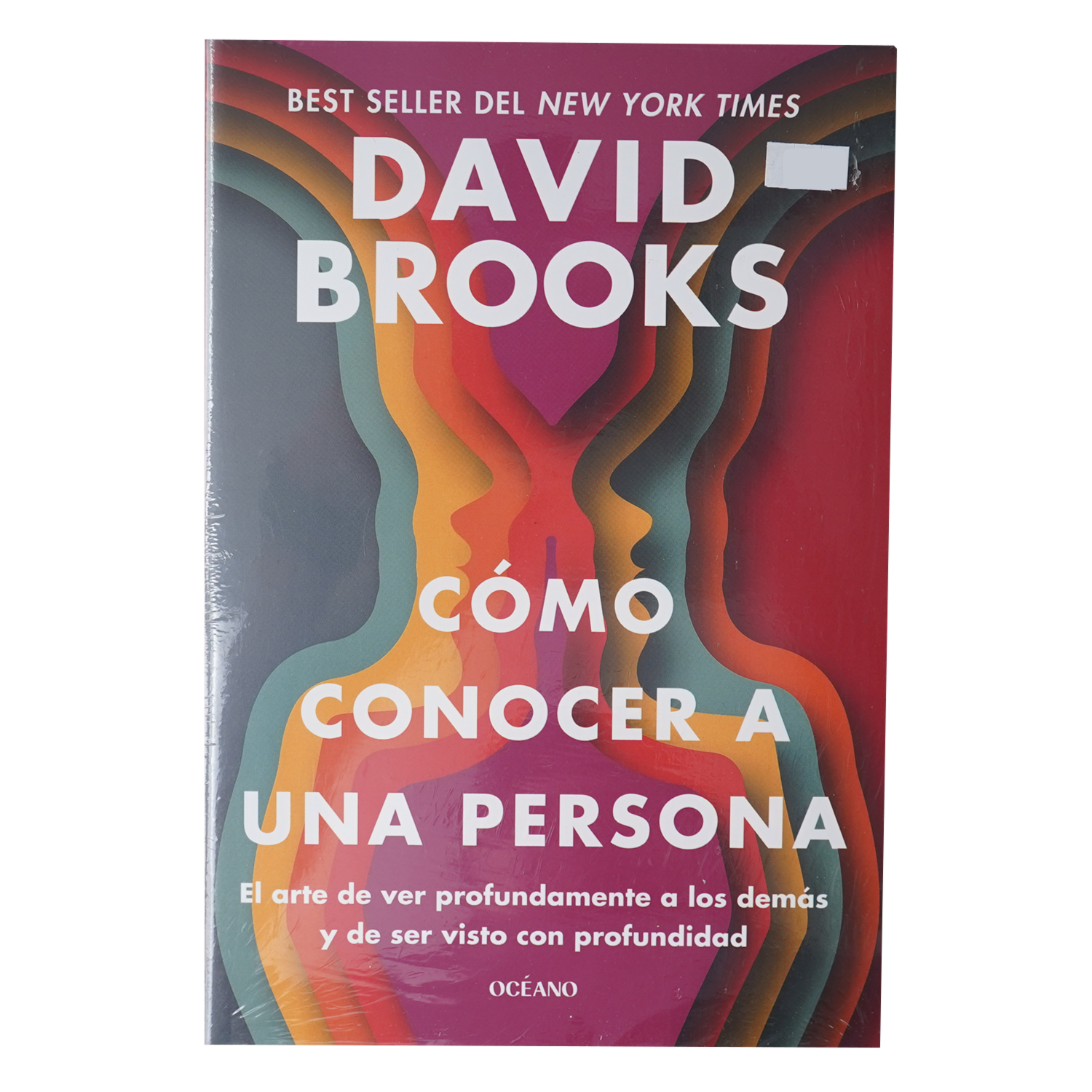 Libro Como Conocer A Una Persona OCEANO 309 Páginas