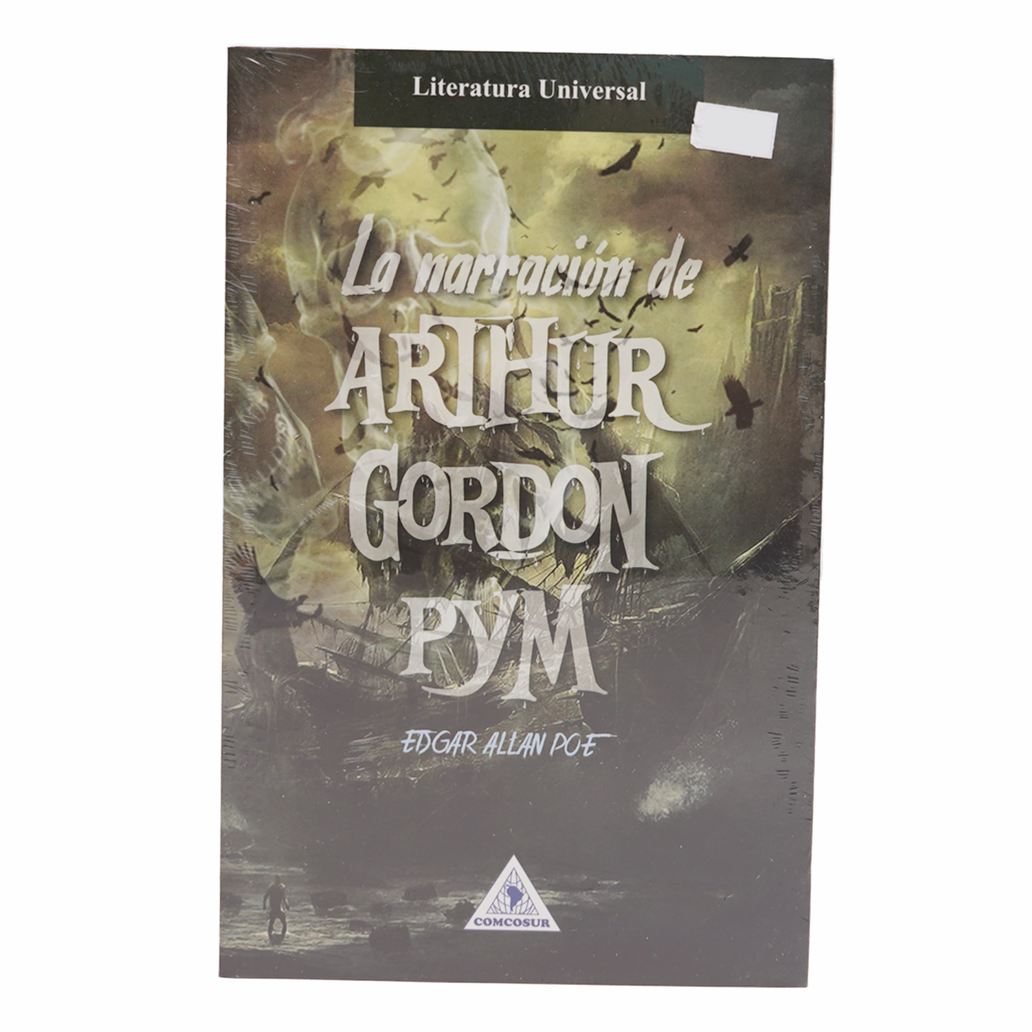 Libro La Narración De Arthur Gordon Pym COMCOSUR 223 Páginas